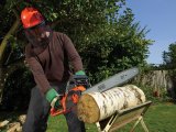 BLACK+DECKER CS2245 Elektrická reťazová píla 45 cm,  2200 W