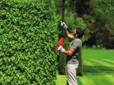 BLACK+DECKER GTC1843L20 Aku nožnice na živý plot 18 V, 2 Ah