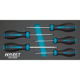 HAZET Sada skrutkovačov HEXAnamic® 163-185/5 ∙ 5 ks