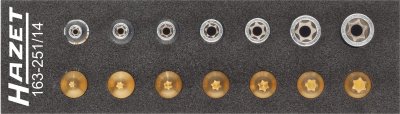 HAZET Sada náradia, TORX® 163-251/14 ∙ 1/4" ∙ 14 ks