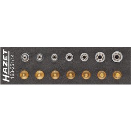 HAZET Sada náradia, TORX® 163-251/14 ∙ 1/4" ∙ 14 ks