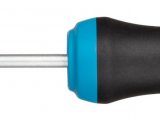 HAZET Skrutkovač 810-T10 ∙ 165 mm