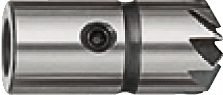 VIGOR Fréza ∅ 17 mm / 45° V3593 ∙ 39 mm